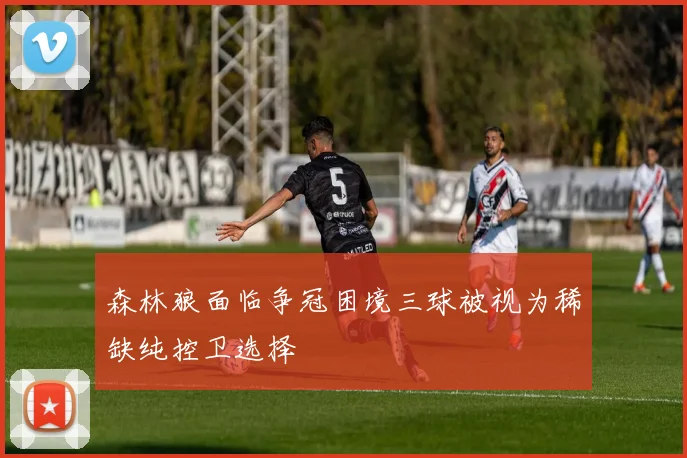 森林狼面临争冠困境三球被视为稀缺纯控卫选择